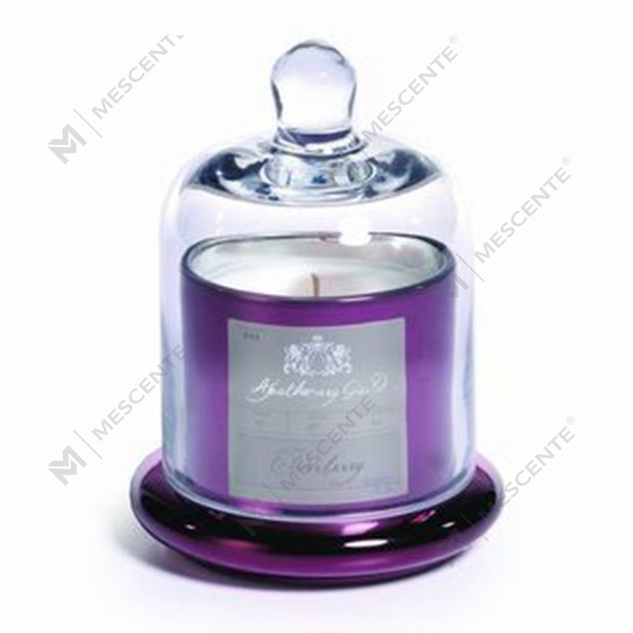 Mescente Luxury Silver Domed cover Scented Candle holder glass dome Jars